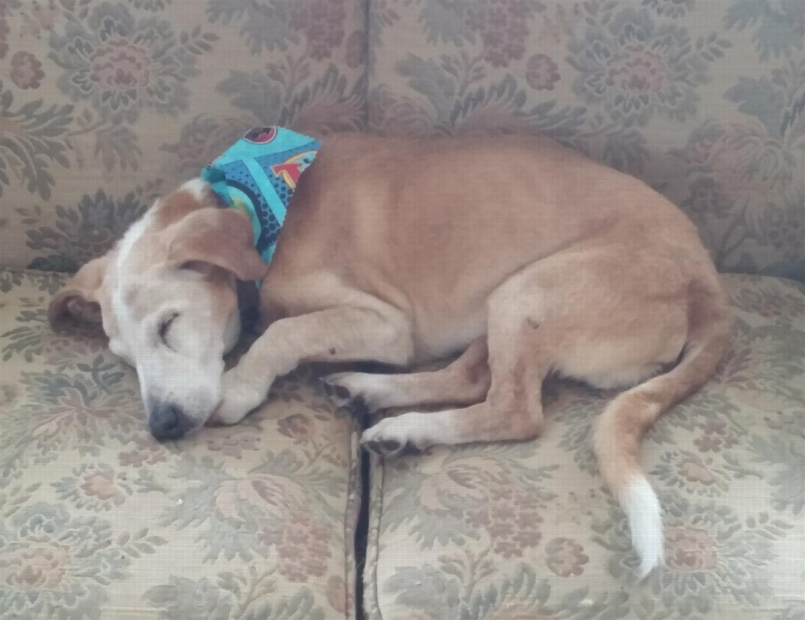 Jack asleep